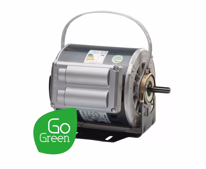 الکتروموتور کولری الکتروژن مدل EG 1/2