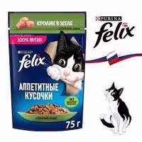 پوچ گربه فلیکس پورینا طعم خرگوش در ژله 75 گرم – روس نویس