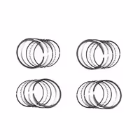 رینگ موتور پژو 206 تیپ 2 و 3 NE اصل