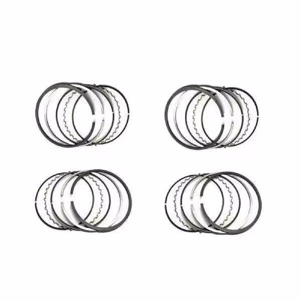 رینگ موتور پژو 206 تیپ 2 و 3 NE اصل