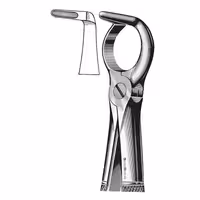 فورسپس ریشه کش حلقه دار پایین دنتال دیوایس | Dental Devices