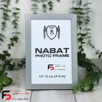 قاب عکس 15*10 کد209 طوسی