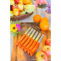 ست 6 عددی چاقوی میوه و سبزی زولینگن مدل اره ای – ساخت آلمان