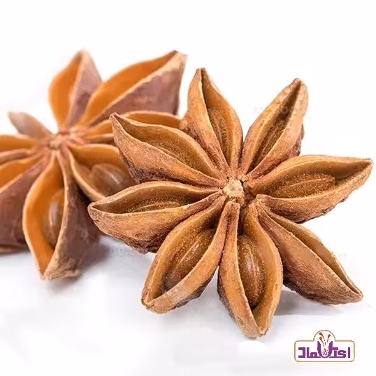 بادیان ستاره ای 250 گرمی اعتماد بادیون خطایی | amazonchi