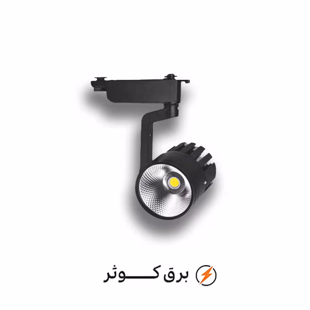 ریلی 30 وات بدنه مشکی نور نچرال پارس شعاع