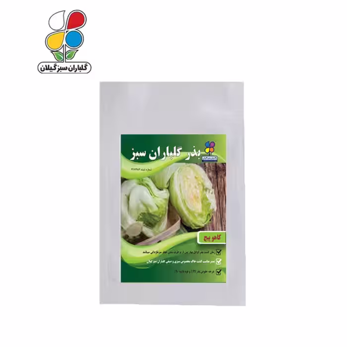 بذر کاهو پیچ بسته بندی بزرگ ( بسته 24 عددی )