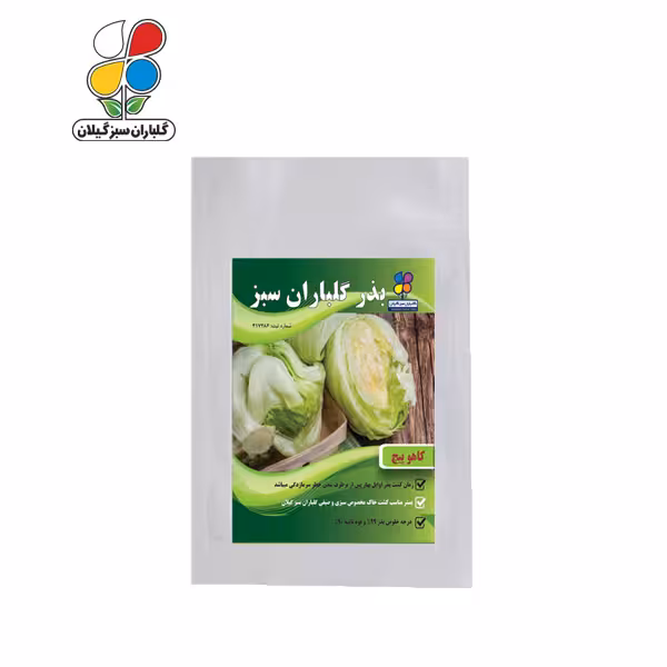 بذر کاهو پیچ بسته بندی بزرگ ( بسته 24 عددی )
