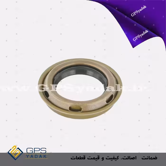 کاسه نمد پلوس چپ هیوندای کوپه FX