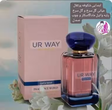 ادکلن مای وی اینتنس (فرگرانس)