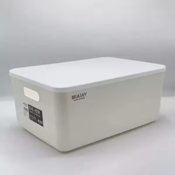 باکس نظم دهنده دربدار 16*26*34/5 سانت 3055