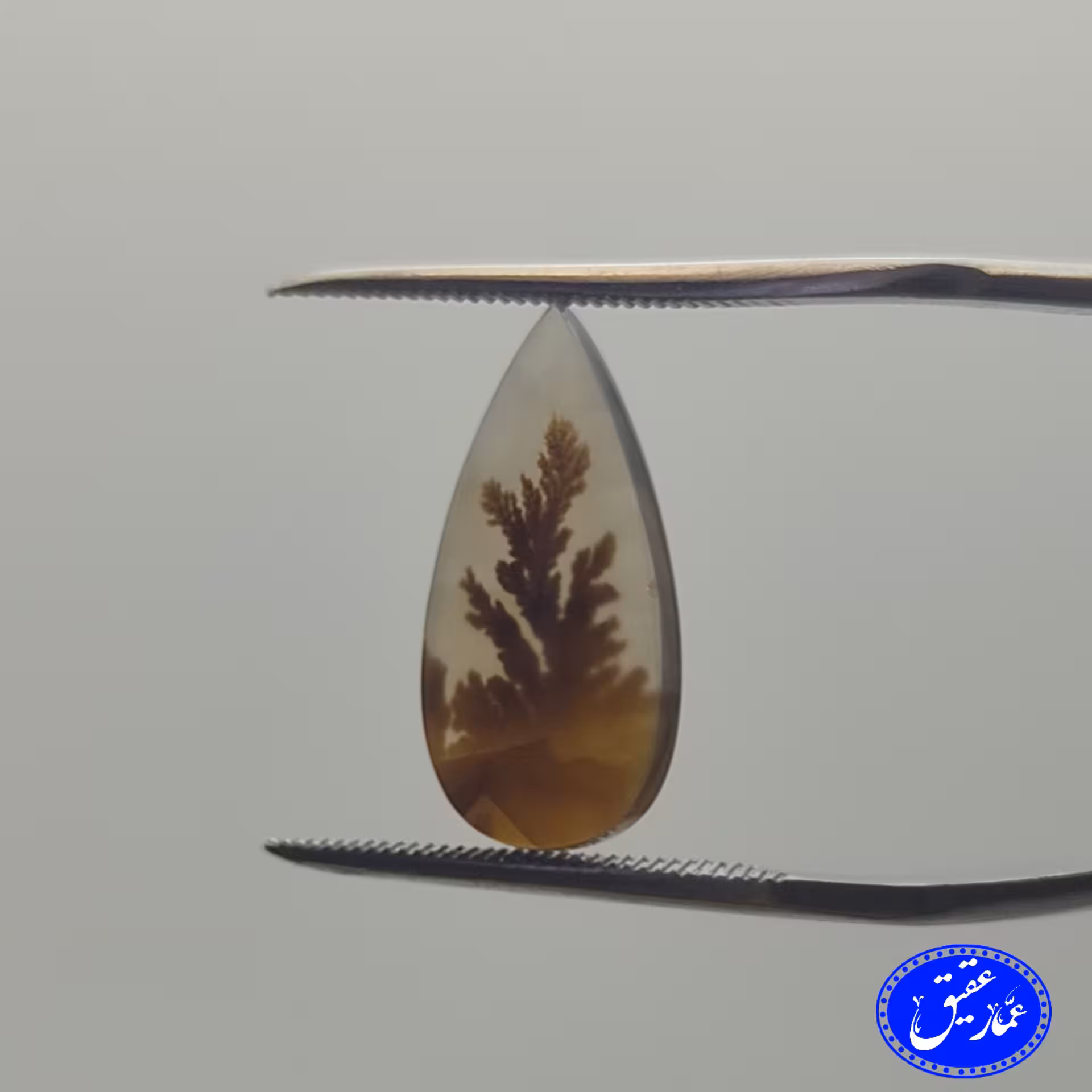 بارخونه 4 عددی  نگین شجر قائن