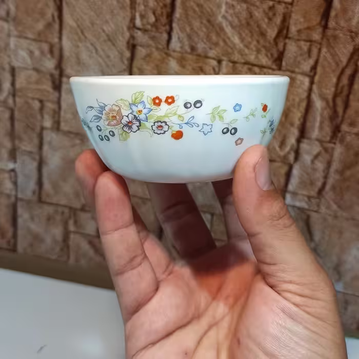 پیاله ماست و ترشی 6 عددی آرکوپال ویکتوریا با ارسال رایگان
