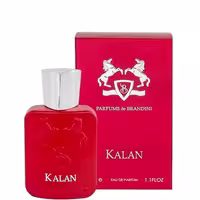 عطر جیبی مردانه برندینی با رایحه کالان – حجم 33 میل
