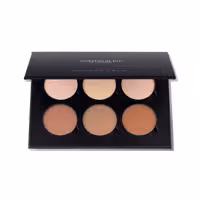 پالت کانتور پودری Light To Medium اناستازیا