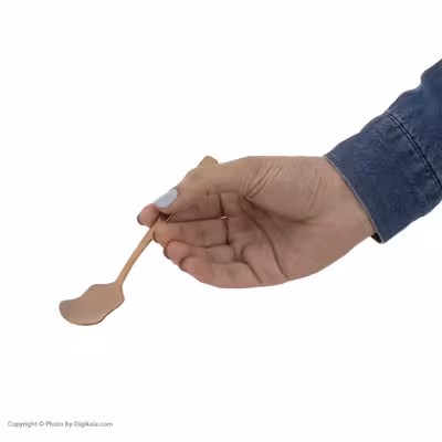 قاشق بستنی خوری ناب استیل مدل فلورانس پی وی دی بسته 6 عددی