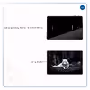 برچسب پوششی ماهوت مدل Dire Wolf مناسب برای تبلت سامسونگ Galaxy Tab S4 10.5 2018 T835