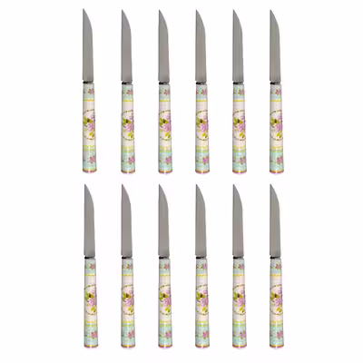 کارد میوه خوری دی ام جی مدل ROYAL-T بسته 12 عددی