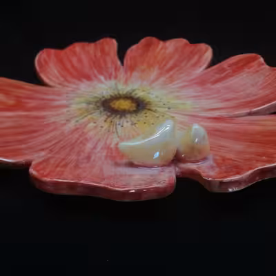 شیرینی خوری سرامیکی هیوا مدل نازگل کد 11024863