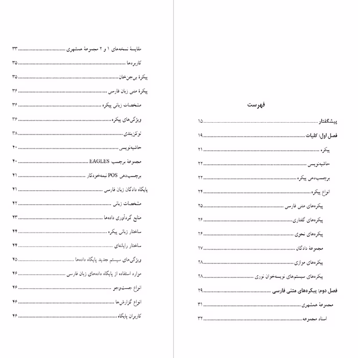 کتاب پیکره های زبان فارسی اثر دکتر حیات عامری از انتشارات دولت علم