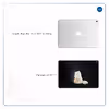 برچسب پوششی ماهوت مدل Persian cat مناسب برای تبلت اپل iPad Pro 10.5 2017 A1701