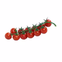 خرید بذر گوجه فرنگی گیلاسی بسته 10 عددی