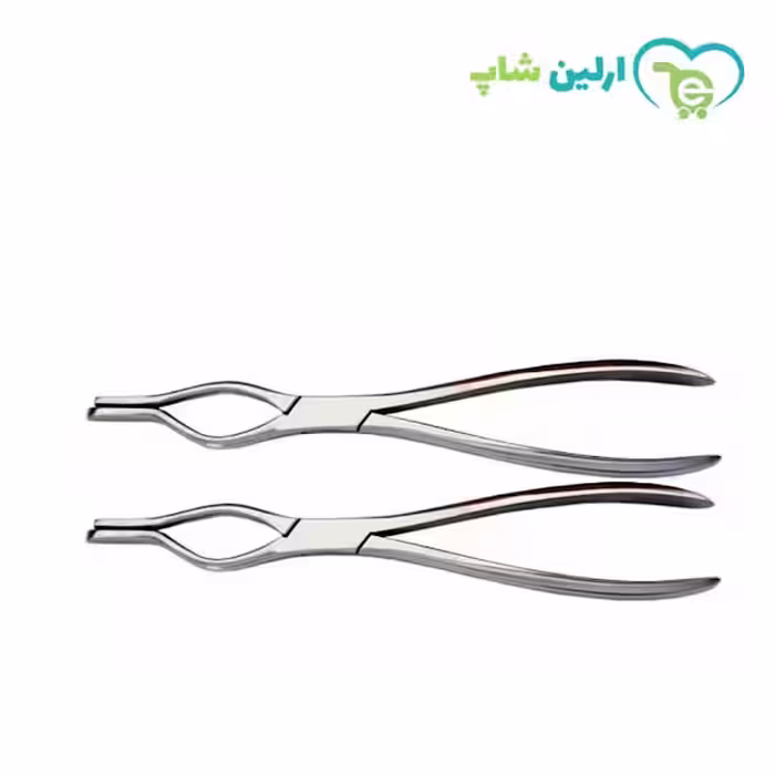 پنس والشام