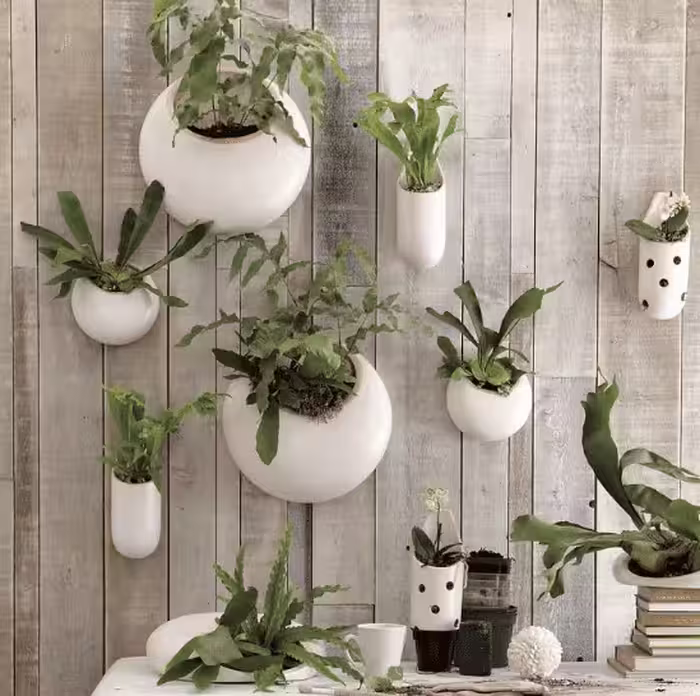 سرامیک پالت 120*20 تکسرام
