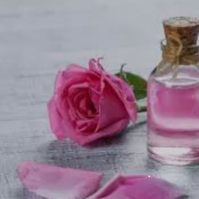 گل سرخ زنانه و مردانه برند (آرجویل)