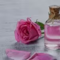 گل سرخ زنانه و مردانه برند (آرجویل)