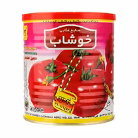 رب گوجه فرنگی خوشاب 800 گرمی
