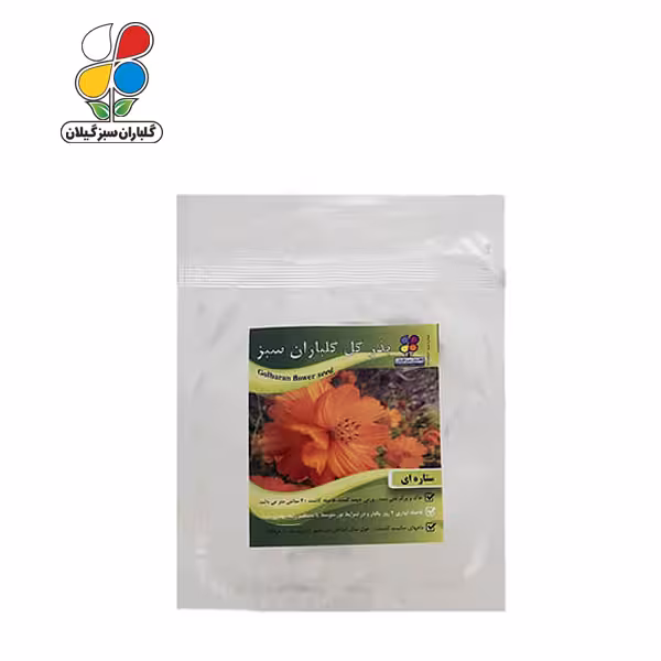 بذر گل ستاره ای بسته کوچک ( بسته 20 عددی )