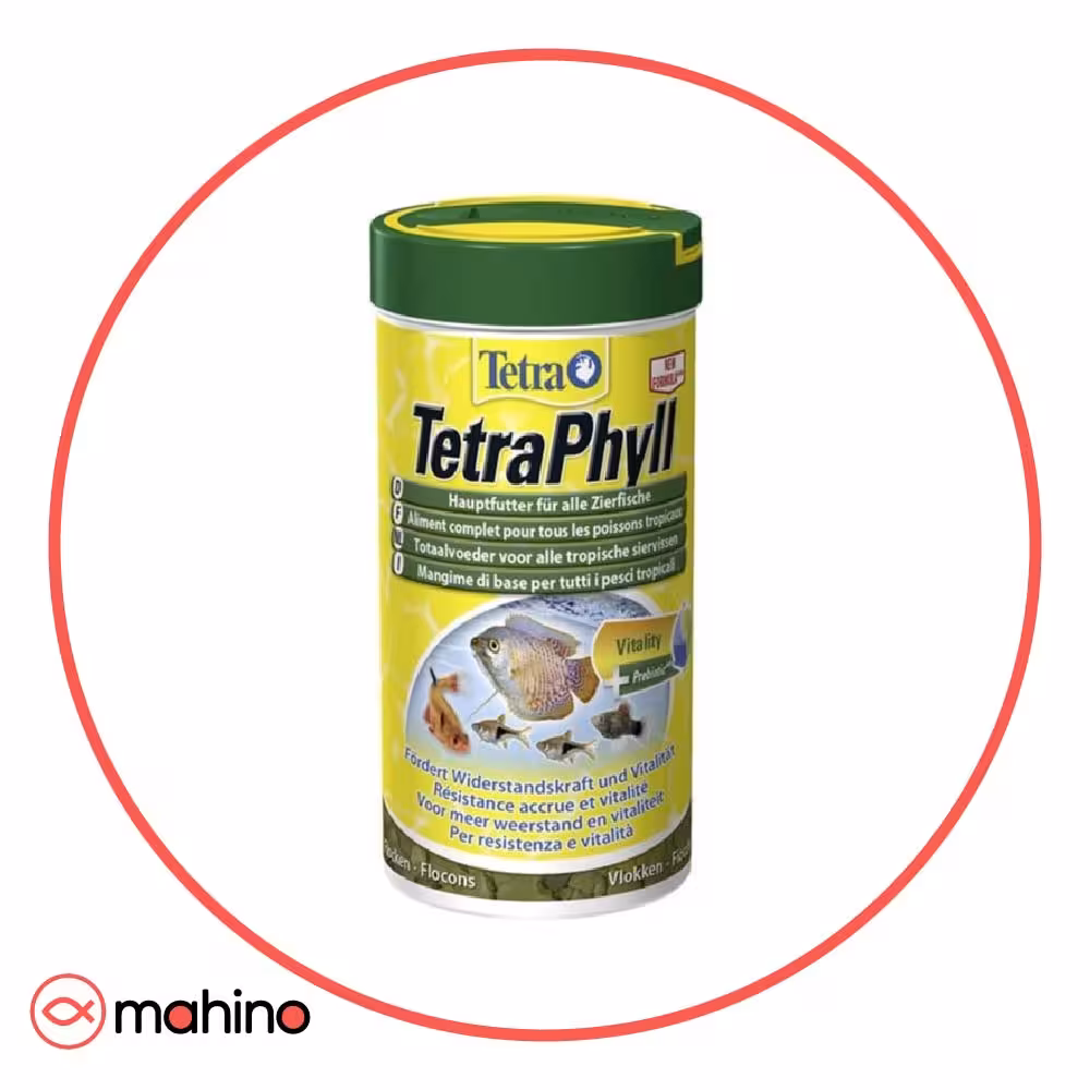 غذا ماهی تترا فیل تترا Tetra Phyll