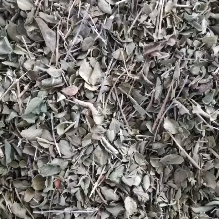 آویشن شیرازی اعلاء یک کیلویی