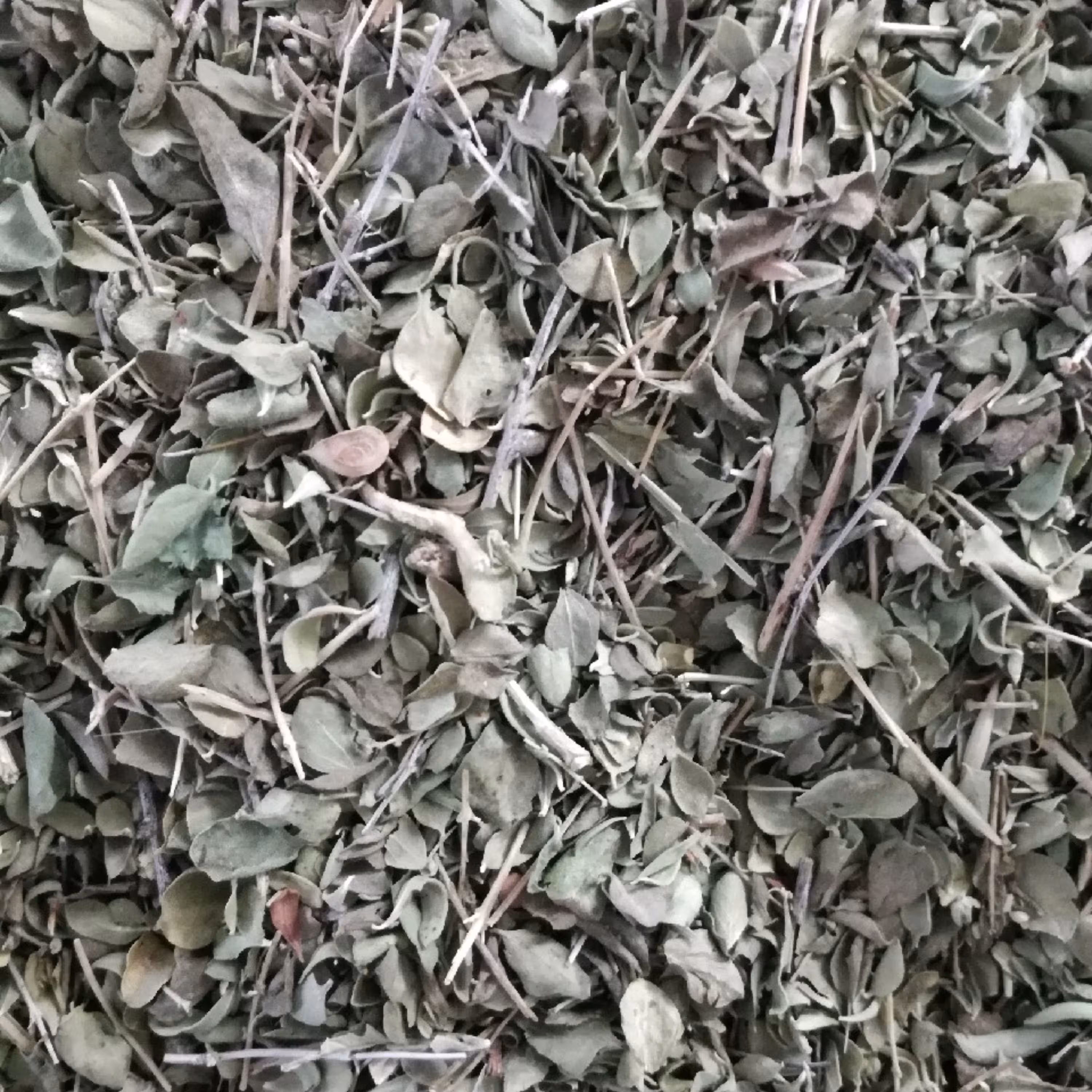 آویشن شیرازی اعلاء یک کیلویی