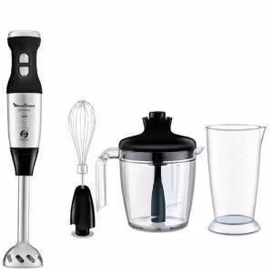 همزن مولینکس مدل DD88