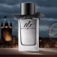 عطر ادکلن باربری مستر باربری اصل | Burberry Mr. Burberry 100ml
