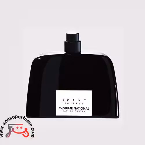 عطر ادکلن کاستوم نشنال سنت اینتنس | costume national scent intense