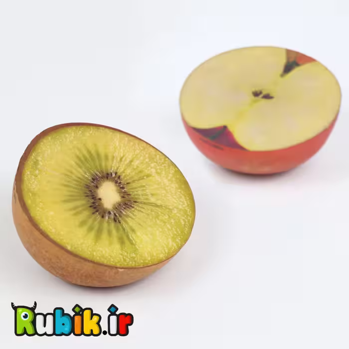 فیجت اسکوییشی (4طرح)