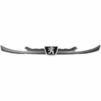 جلو پنجره فابریک پژو 206 تیپ 2 برند سامیاران