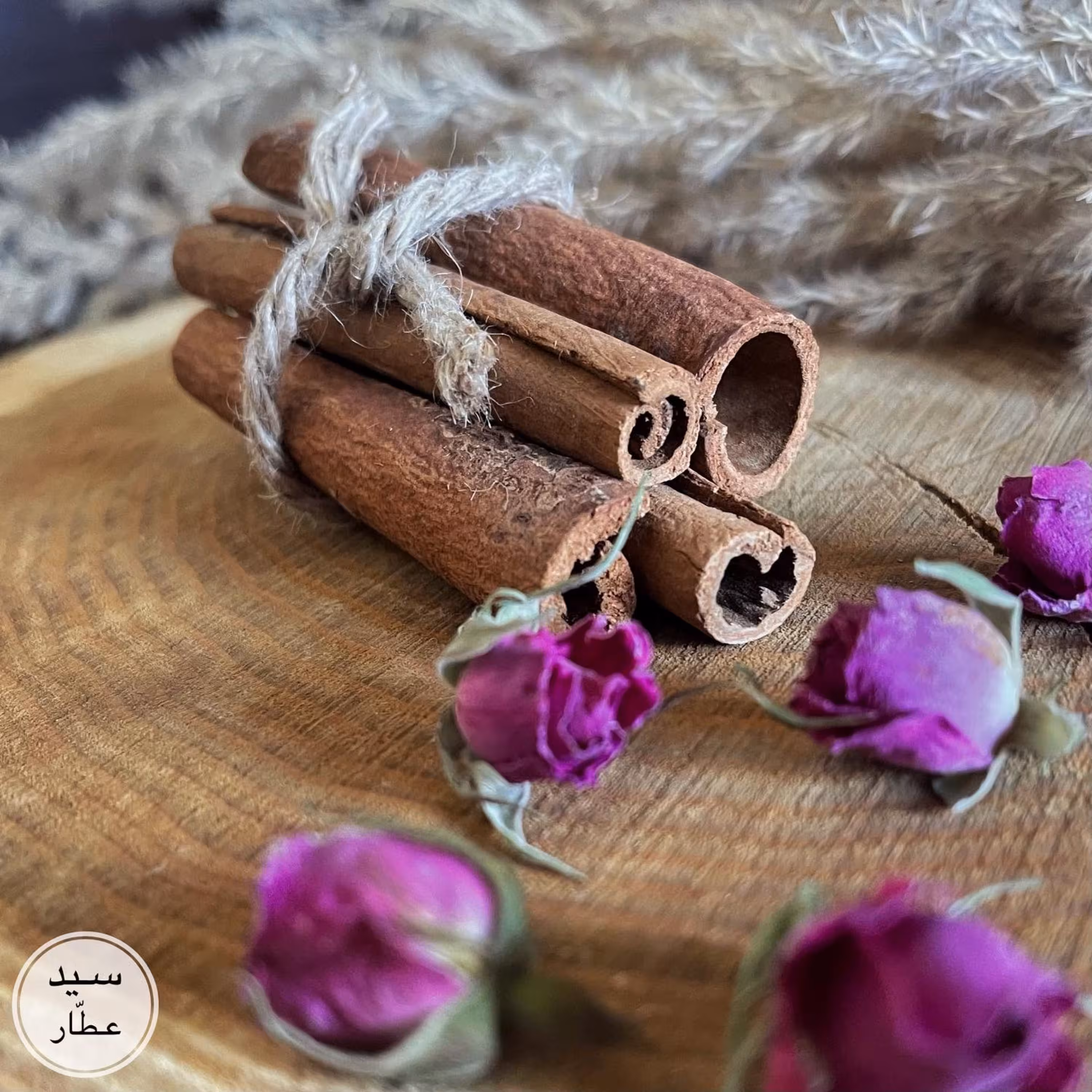 دارچین سیگاری (100 گرم)