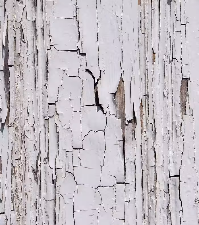 بک دراپ چاپی کد 615 (در 4 سایز)