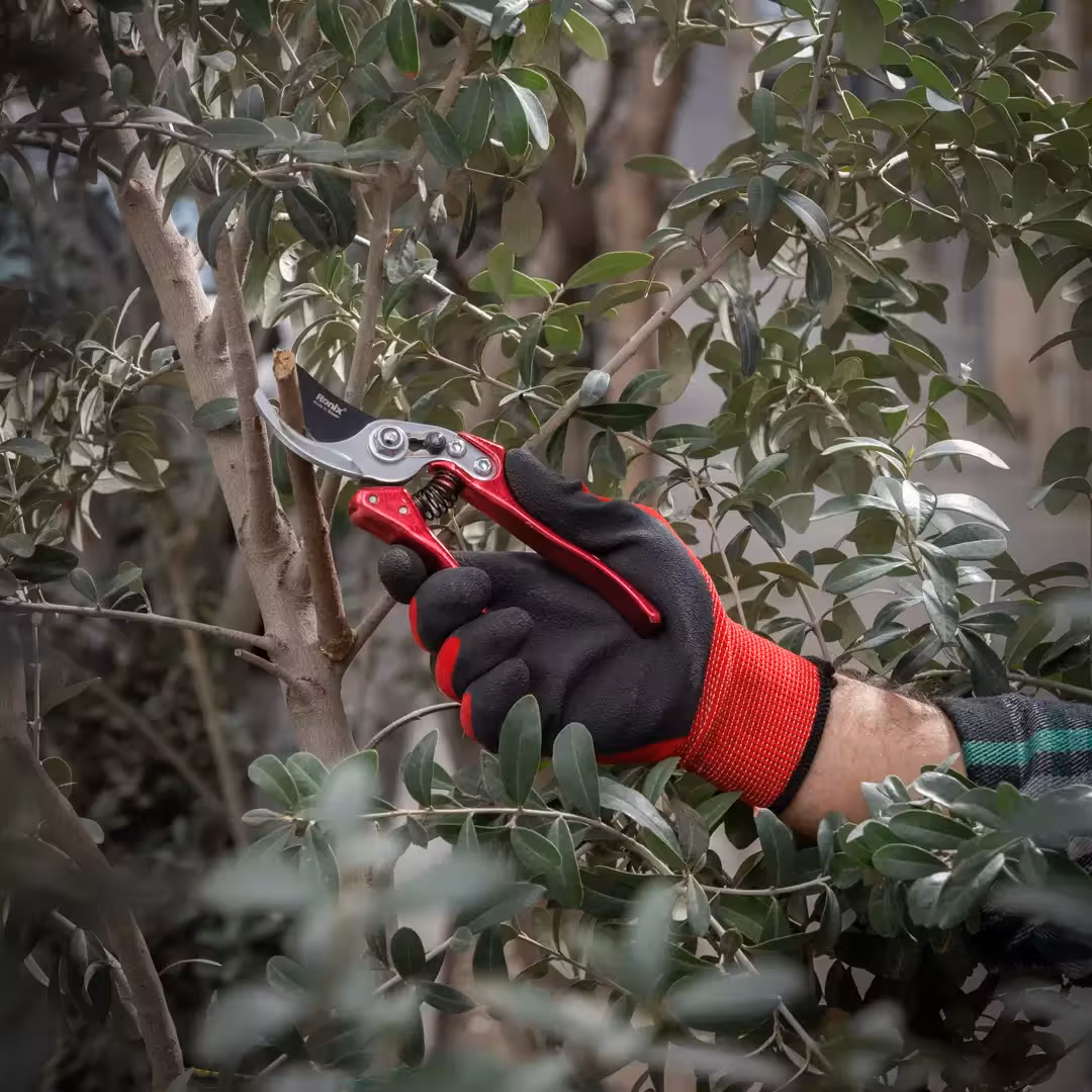 قیچی باغبانی رونیکس مدل RH - 3107