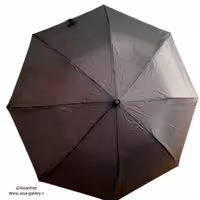 چتر دوتایی تاشو ساده، مدل یانی (Yani)