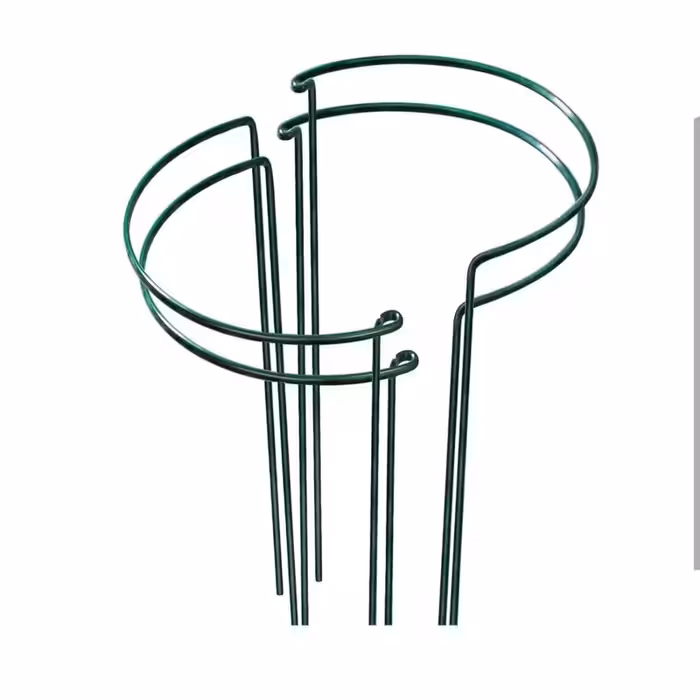 قیم نگهدارنده گیاه مدل سانسوریا بسته 4 عددی | کالا مکس