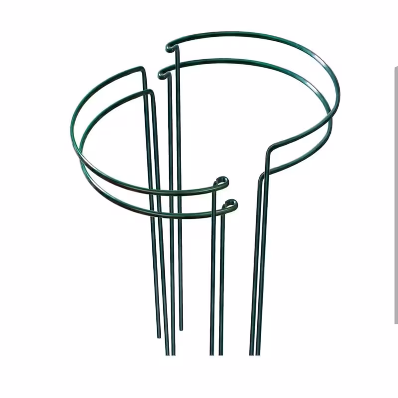 قیم نگهدارنده گیاه مدل سانسوریا بسته 4 عددی | کالا مکس