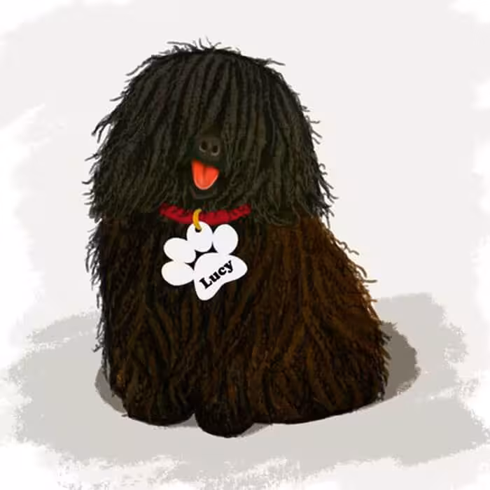 آویز قلاده استیل طرح پنجه کد CD-R-04