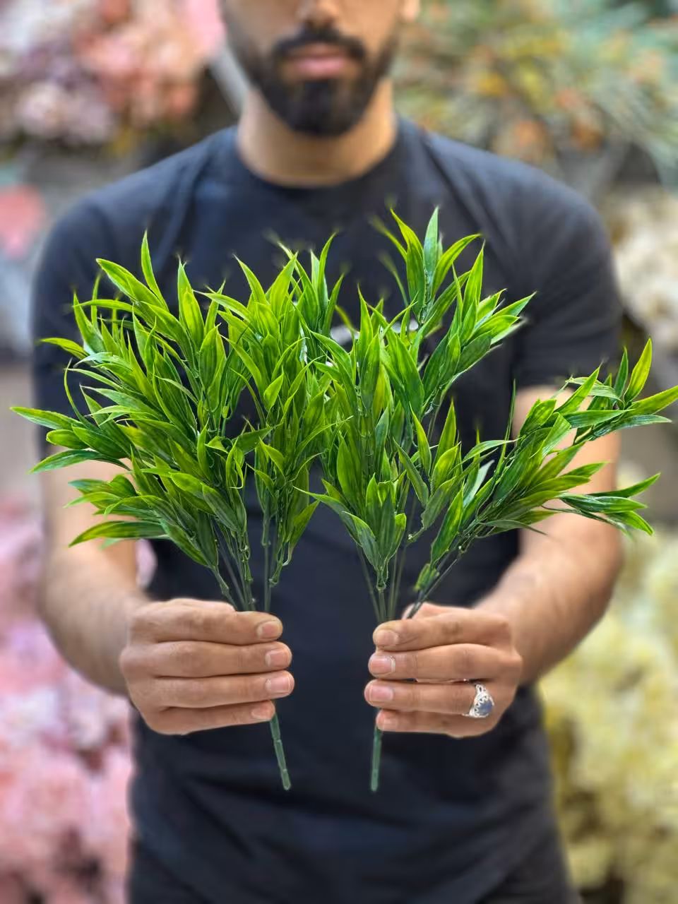 بوته برگ ریحون