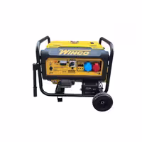 موتور برق سه فاز تک فاز وینکو 10 کیلووات R16600DWHB