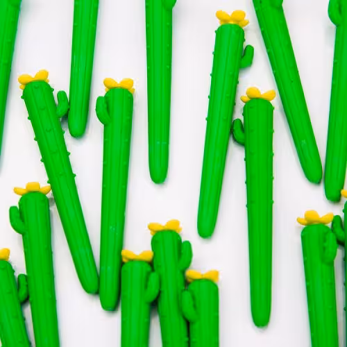 پاکن فانتزی طرح کاکتوس