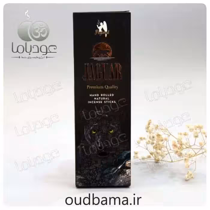 عود دست ساز جگوار JAGUAR (پگیمل PEGIMAL)